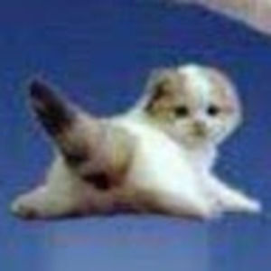 Meet your Posher, Jayda